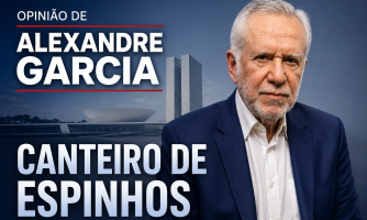                                        CANTEIRO DE ESPINHOS